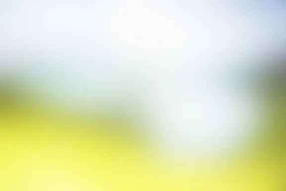 אםאיאןטי קזינו תמיכה